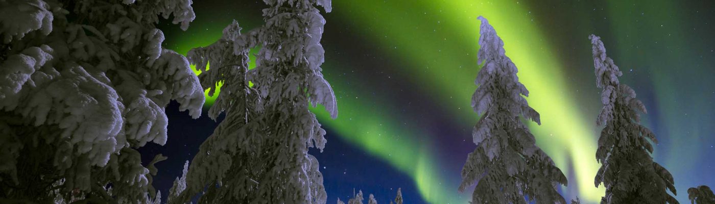 Experience Northern Lights – Totovaara